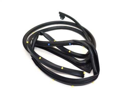Mopar 55112374AD Weatherstrip Rear Door Mounted