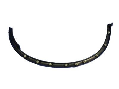 Dodge 1RK18TZZAE MOLDING Wheel Flare Quarter Panel