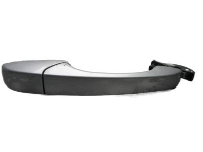 Dodge 1NA50JSCAD HANDLE Exterior Door