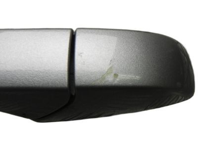 Dodge 1NA50JSCAD HANDLE Exterior Door