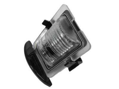 Jeep 68064721AA License Lamp