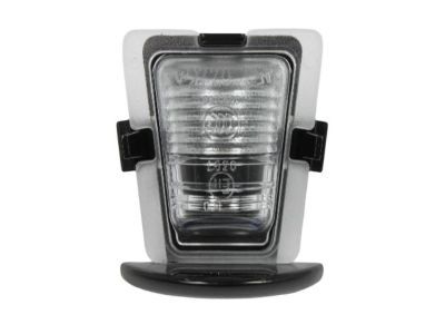 Jeep 68064721AA License Lamp