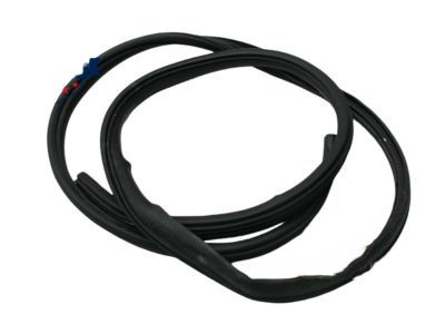 Jeep 55399018AB Surround Weatherstrip