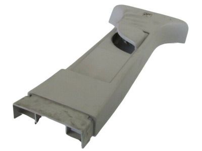 Dodge 1BG10HDAAD MOLDING B Pillar