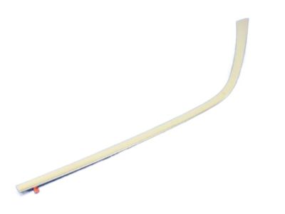 Mopar 57010408AF Molding Rear Door