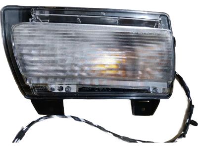 Mopar 68307244AF Lamp Parking And Turn Signal