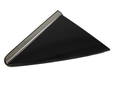 Chrysler 5116189AC Applique