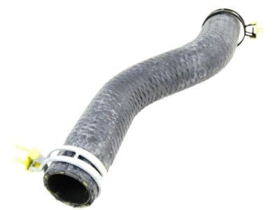 Dodge 5005311AA HOSE AND CLAMP Radiator Outlet
