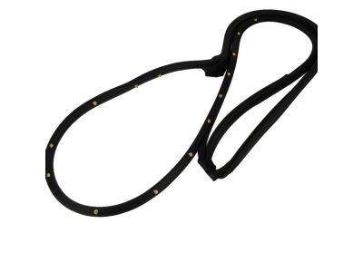 Mopar 68039975AF Weatherstrip Front Door Mounted