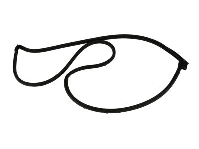 Mopar 68039975AF Weatherstrip Front Door Mounted