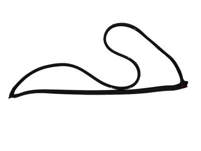 Mopar 68039975AF Weatherstrip Front Door Mounted