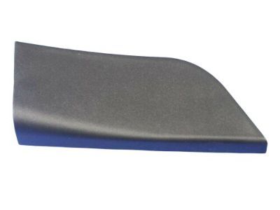 Dodge 1TS94DX9AB Applique