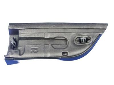 Dodge 1TS94DX9AB Applique