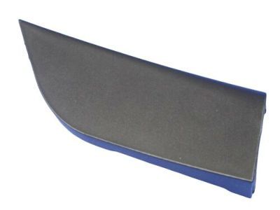 Dodge 1TS94DX9AB Applique