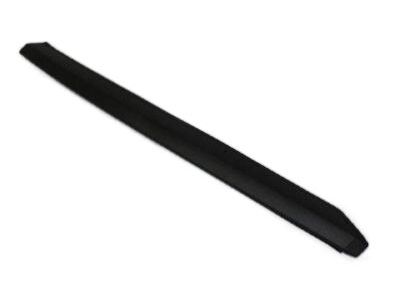 Dodge YS47RXFAD Side Molding