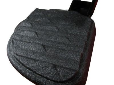 Ram 82215289AH Step Assembly