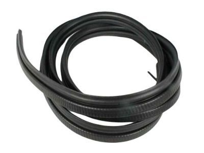 Dodge 4717559AG Body Weatherstrip