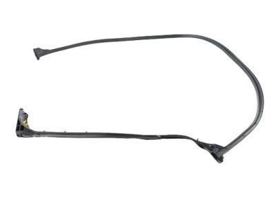 Ram ProMaster 3500 Door Seal - 68229641AD