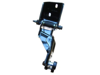 Chrysler Town & Country Door Hinge - 5020673AG