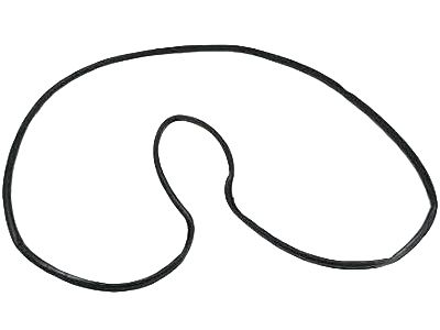 Chrysler Door Seal - 1JG12XXXAG