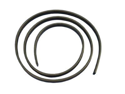 2005 Dodge Magnum Weather Strip - 5065640AE
