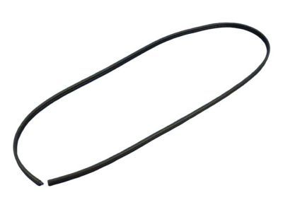 2005 Dodge Magnum Weather Strip - 5065640AE