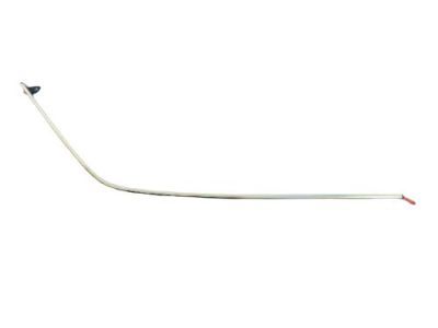 2007 Dodge Magnum Door Moldings - 4805839AD