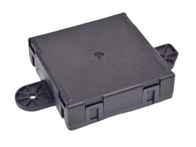 Ram 4602911AJ MODULE Door