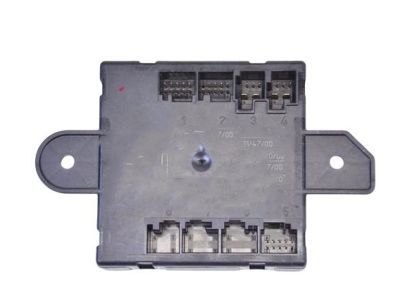 Ram 4602911AJ MODULE Door