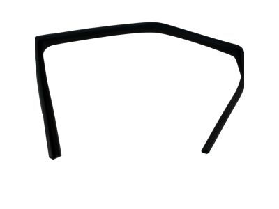 Mopar 5067768AB Weatherstrip Front Door Glass Running