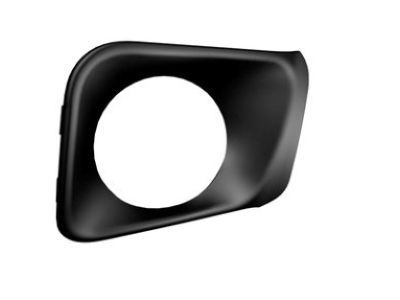 Jeep 68203218AA Bezel