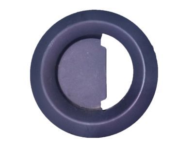 Dodge 1CL74XDVAB BEZEL Remote Handle