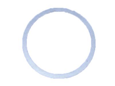 Dodge 4659257 SPACER Final Drive 0.98mm