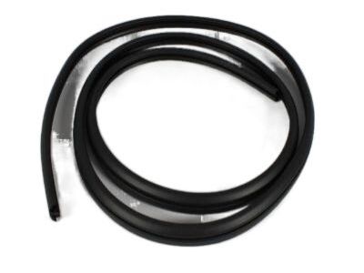 Dodge 55362124AF Body Weatherstrip