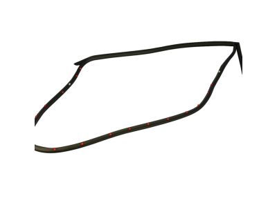 Mopar 68039976AG Weatherstrip Rear Door Mounted