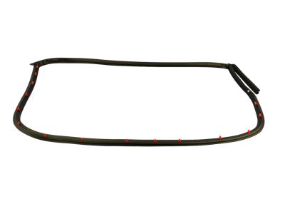 Mopar 68039976AG Weatherstrip Rear Door Mounted