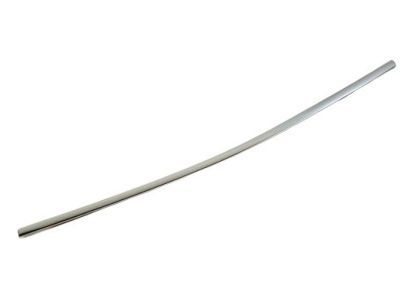 Chrysler 68228015AC MOLDING Day Light Opening Front Door