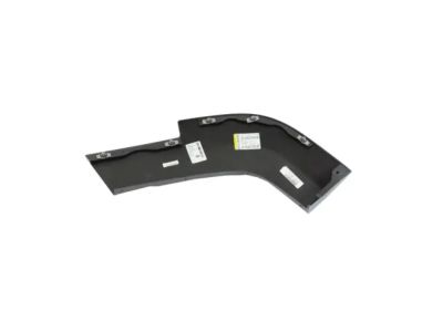 Mopar 1CK68TZZAC Applique Rear Door