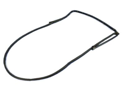Dodge 55112363AC WEATHERSTRIP Rear Door Mounted