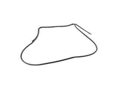 Dodge 55112363AC WEATHERSTRIP Rear Door Mounted