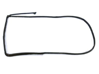 Dodge 55112363AC WEATHERSTRIP Rear Door Mounted