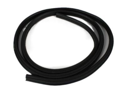 Dodge 55275609AD WEATHERSTRIP Door Opening Front