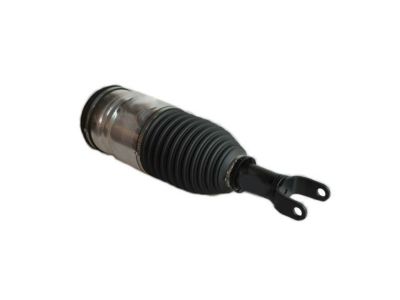 Ram 4877146AC SPRING AND SHOCK ASSEMBLY Air Suspension