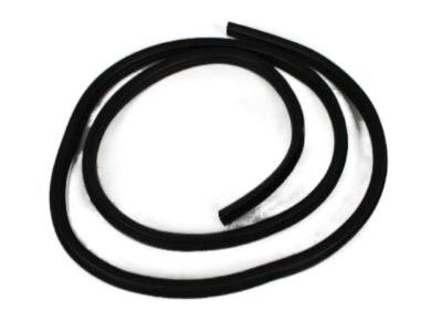 Dodge 55275611AD WEATHERSTRIP Door Opening