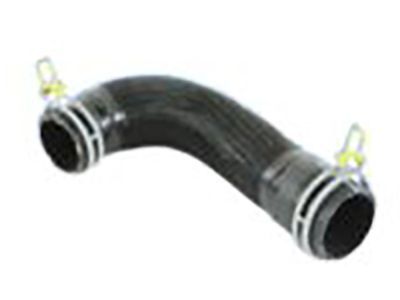 Dodge 52029194AC Lower Hose