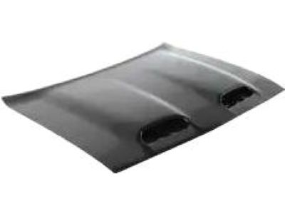 Mopar 68423292AB Hood