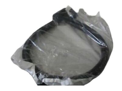 Dodge 55275041AG Weatherstrip