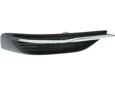 Chrysler 68082055AB Lamp Cover