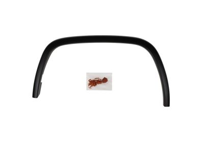 Mopar 1WC97KARAA Molding Wheel Flare Front Fender