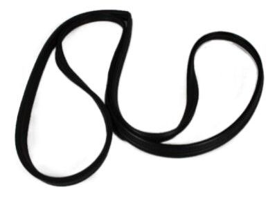 Jeep Door Seal - 55175354AE